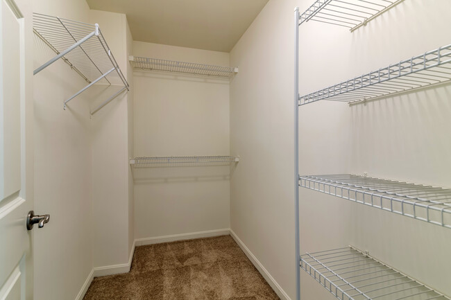 Walk-in closet - Avalon Northborough