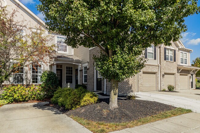 Foto del edificio - 293 Skyview Ct