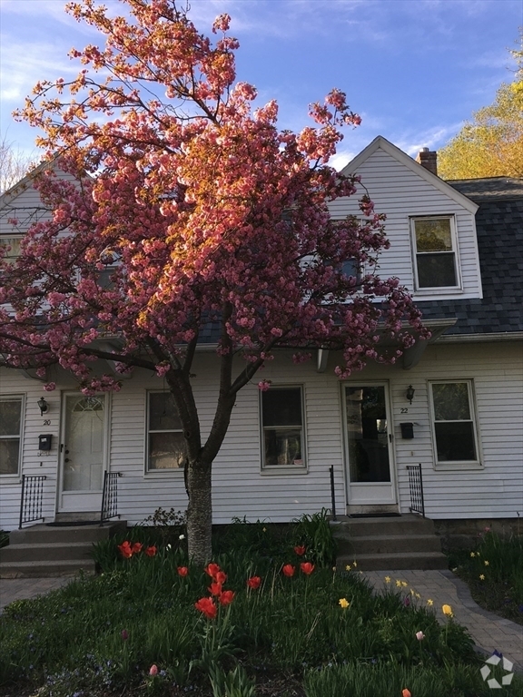 Building Photo - 20 Elmwood St