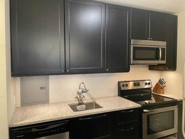 Photo - 535 N Michigan Ave Apartment