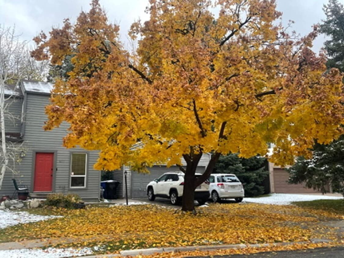 3 Bedroom Townhouse Minutes from Canyons - 3 Bedroom Townhouse Minutes from Canyons