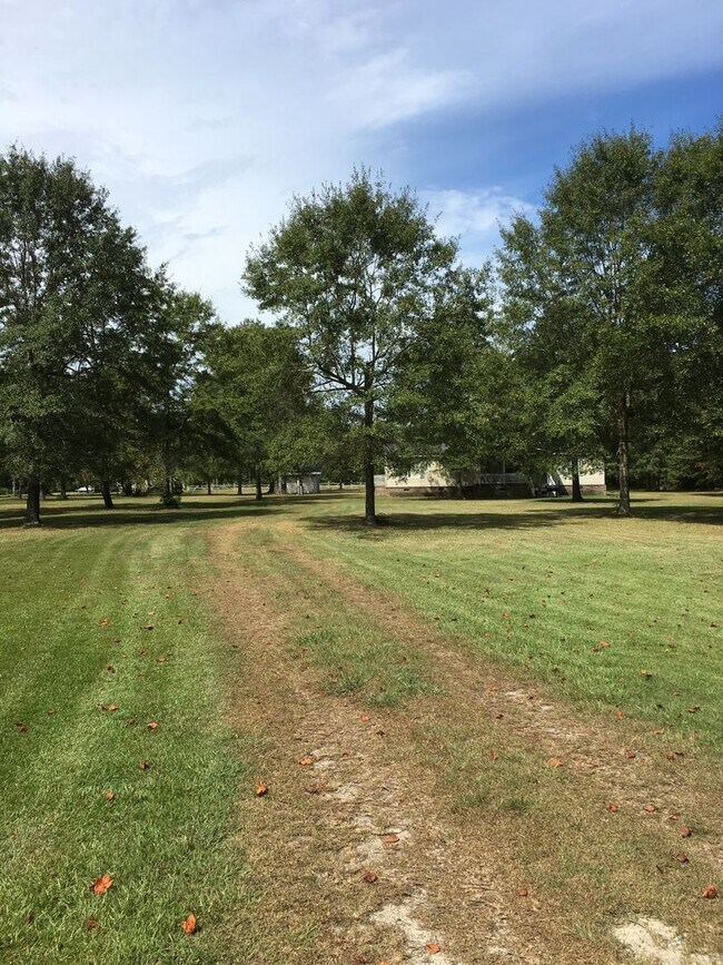 Photo - Little Bit of Southern Charm House