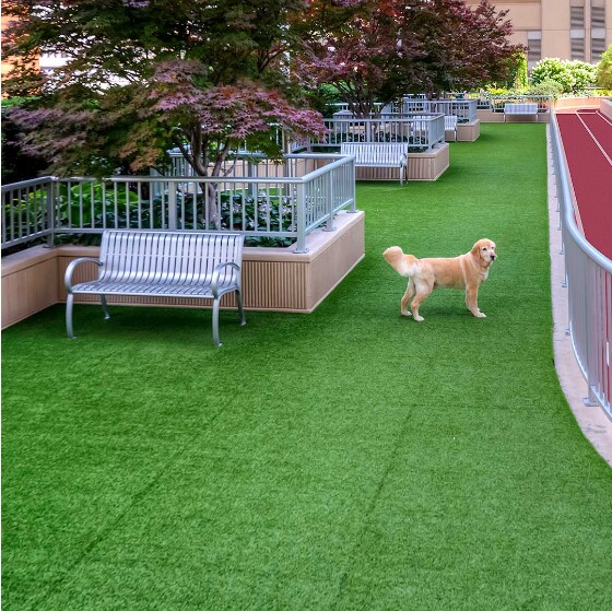 Foto del edificio - 601 N State St