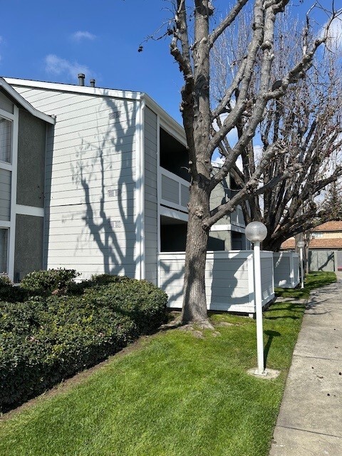 Building Photo - Belcourt Apartments