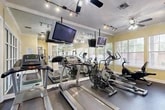 Located in Gainesville, Florida, this fitness center offers a well-appointed exercise space designed to accommodate a variety of workout routines. The room features warm yellow walls accented by crisp white crown molding and baseboards, lending a bright and welcoming atmosphere to the space. Large windows along the perimeter flood the interior with natural light while offering views of the surrounding greenery, and blinds provide the option for privacy when desired. A glass-paneled door with frosted panes serves as the main entry point, adding a refined architectural touch. The flooring consists of durable dark rubber matting, well-suited for high-traffic fitness use. Wall-to-wall mirrors visually expand the room, creating a sense of greater depth and allowing users to monitor their form during exercise. Overhead, ceiling fans and track lighting ensure proper air circulation and visibility throughout. The space is outfitted with a variety of cardio equipment, including treadmills, elliptical trainers, stationary bikes, and a rowing machine, as well as a multi-station strength training unit. Multiple wall-mounted flat-screen televisions provide entertainment during workouts. The thoughtful layout maximizes functionality, making this fitness center a practical and comfortable amenity.
