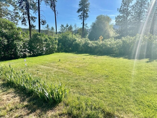 Foto del edificio - Charming 1 bed 1 bath Long Lake Cabin Retreat