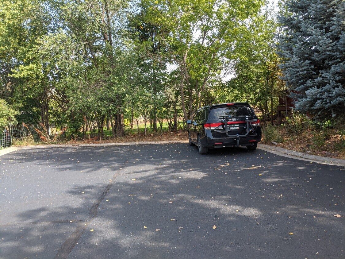 515 Easy St, Glenwood Springs, CO 81601 Townhome Rentals in Glenwood