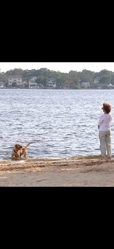 Foto del edificio - 17 4th St