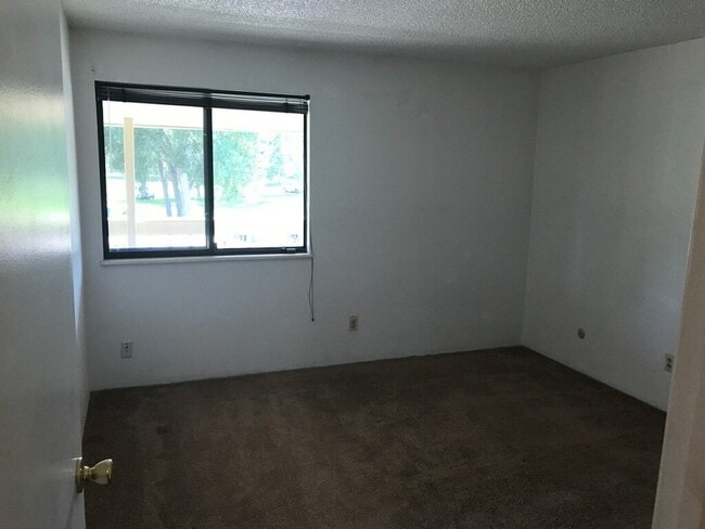 Photo - Adorable 1bd w/garage! Large balcony! Apartment