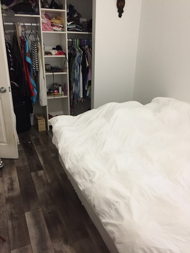 Bedroom 2 / Wood floor/ large c - 4341 W Jackson Blvd