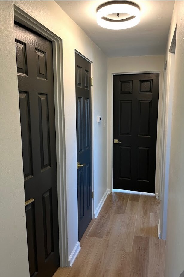 Foto del edificio - 101 Meadow St