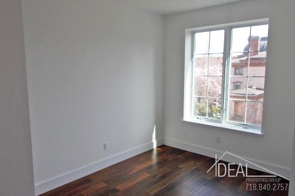 Building Photo - 203 Macon St