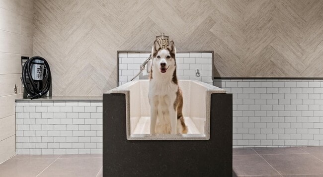 Pet - Hanover Buffalo Bayou