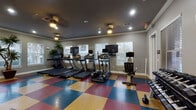 This fitness center is a comprehensively outfitted single-floor exercise space designed to support a full range of workout routines. The room is finished with a distinctive multi-colored rubber tile floor in red, blue, and yellow, providing both durability and visual energy underfoot. Gray walls trimmed with white crown molding lend a clean, structured aesthetic, while a dark ceiling with recessed lighting and ceiling fans ensures the space remains well-lit and comfortable during workouts.

Cardio equipment is a strong focus, with multiple treadmills, an elliptical trainer, and a stationary bike arranged along one wall, each unit equipped with an individual monitor for entertainment or fitness tracking. A wall-mounted flat-screen television provides additional viewing options for the cardio area. On the strength training side, the space features a multi-station cable machine, a dedicated dumbbell rack with a full range of free weights, kettlebells, and adjustable workout benches for varied resistance exercises.

Large windows fitted with white blinds allow natural light to filter in while maintaining privacy, and tall decorative plants positioned throughout add a touch of greenery to the interior. Full-length mirrors on one wall visually expand the space. The room also includes dedicated entry and exit doors, contributing to a functional and organized layout.