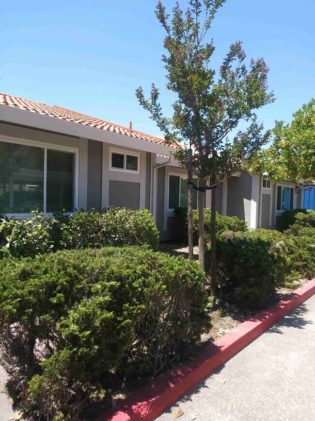 Plaza Del Sol - 790 2nd St W
