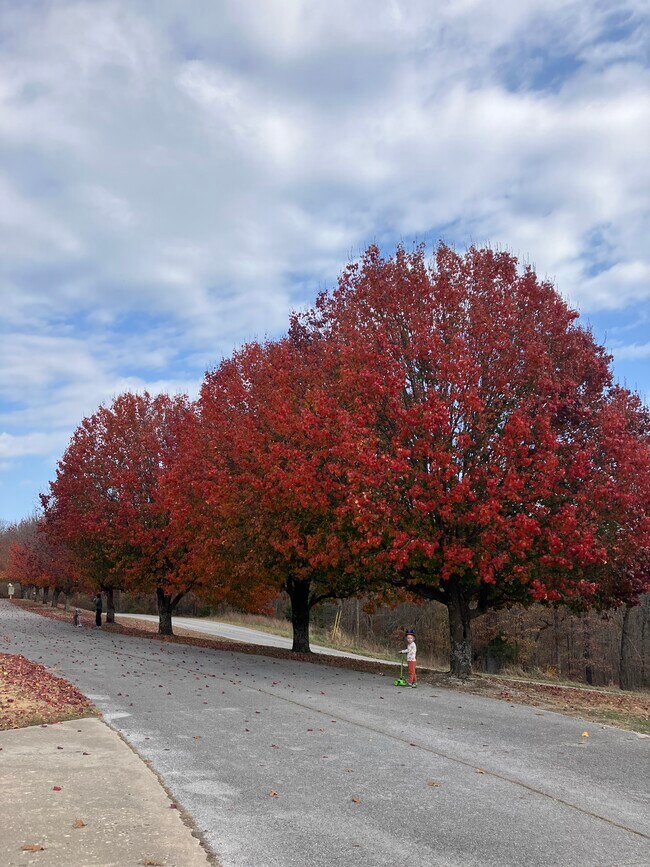 Foto del edificio - 8675 Golf Creek Dr