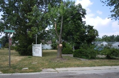 Primary Photo - 1003 Lansing St