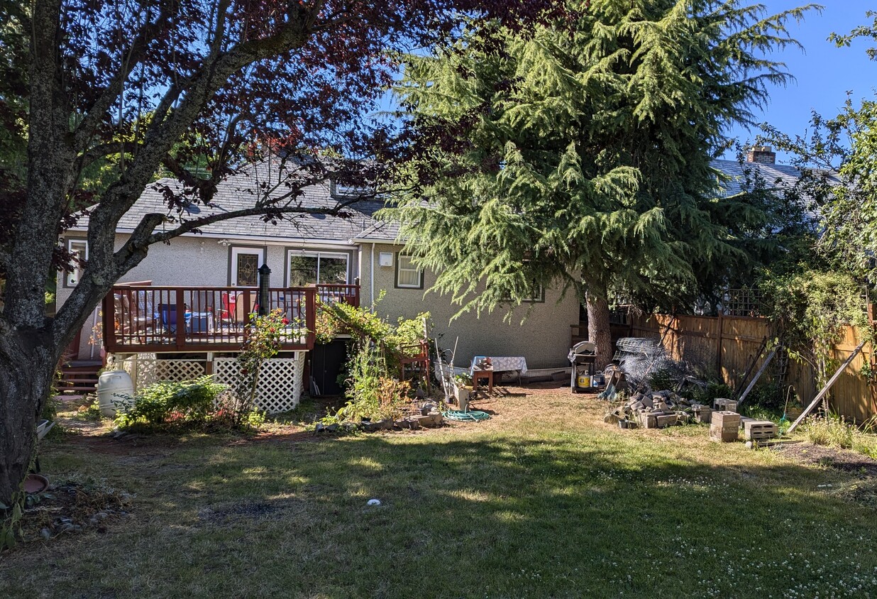 Backyard (Patio not included) - 2821 Admirals Rd
