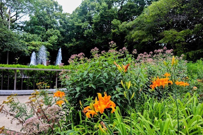 Parque Arrigo: a media cuadra a pie - Harris Point Chicago