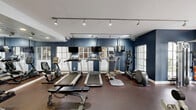 Located in Aventura, FL, this well-appointed fitness center offers a comprehensive workout environment designed for a variety of exercise routines. The space is characterized by bold navy blue accent walls contrasted against crisp white trim, creating a dynamic and motivating atmosphere. Track lighting runs along the ceiling, ensuring the room is brightly and evenly lit throughout.

Large, multi-pane windows line the walls, flooding the interior with natural light and offering views of the lush surrounding greenery. Full-length mirrors along one wall further enhance the sense of openness while allowing users to monitor their form during workouts.

The exercise room is outfitted with a robust selection of equipment, including multiple treadmills, an elliptical trainer, a stationary bike, and a cable/functional training machine. A dedicated free weights area features a multi-tiered dumbbell rack stocked with a wide range of weights, medicine balls, and weight plates, accompanied by workout benches. Rubber flooring throughout provides both durability and safety underfoot.

Entry is through elegant white double doors with glass panels. A vending machine and posted fitness center rules near the entrance add practical amenities. Mounted flat-screen televisions face the cardio equipment, making for an engaging workout experience in this thoughtfully designed facility.