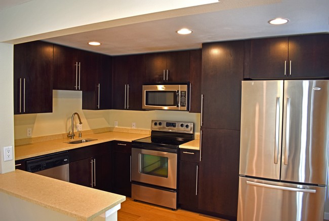 Modern kitchens - SS appliances, Espresso cabinets - Bleu Apartments
