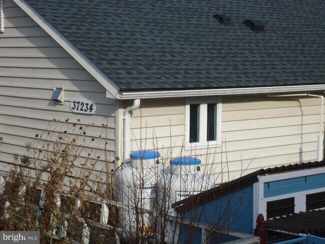 Foto del edificio - 37234 Grass Roots Ln