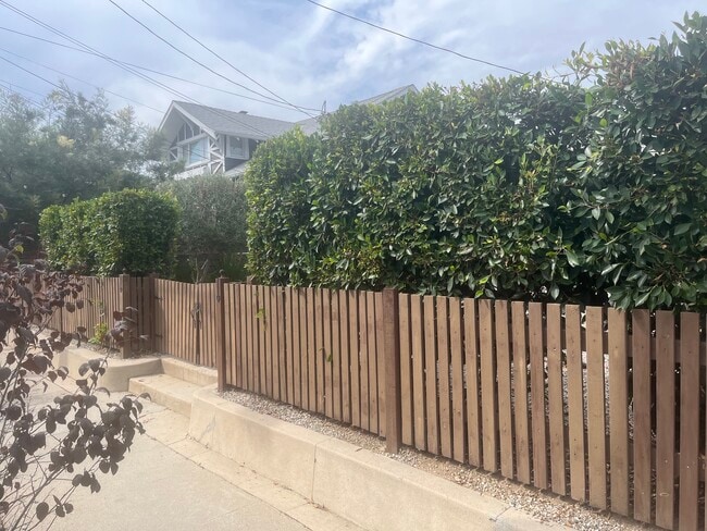 Privacy Hedge - 4427 Clayton Ave