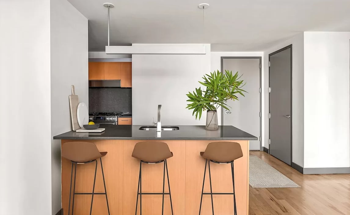 29 Beekman St Unit 28N, New York, NY 10038 - Condo for Rent in New York ...