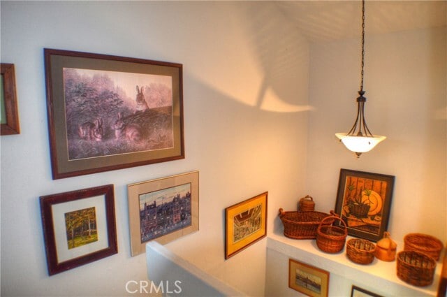 Building Photo - 146 Avenida Baja