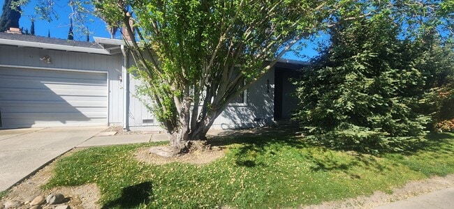 Foto del edificio - 8132001/37