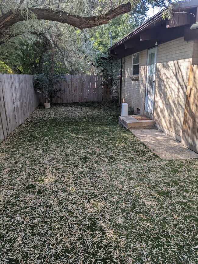Backyard - 962 E Hillview Dr
