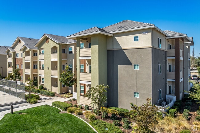 Building Photo - Arena Senior Apartments