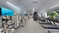 Located at 2001 Hollywood Boulevard in Hollywood, Florida, this modern fitness center offers a generously sized, single-floor workout facility designed to accommodate a full range of exercise needs. The space features a clean, contemporary aesthetic with a neutral color palette, patterned low-pile carpet flooring, and a bright white ceiling lined with sleek linear LED lighting that ensures consistent, well-distributed illumination throughout.

The facility is thoughtfully organized into distinct training zones. A dedicated cardio area runs along one side of the room, featuring a row of treadmills, elliptical trainers, a stationary bike, and a StairMaster rowing machine, all positioned alongside large windows that frame lush tropical greenery — a nod to the South Florida setting. On the opposite side, a comprehensive strength training section houses multiple selectorized cable and resistance machines from Hoist, alongside free weights and stability balls stored on wall-mounted racks.

Dark accent columns punctuate the floor plan, adding visual depth and helping define the various workout zones. A bold, large-format athletic mural anchors one end of the space, providing dynamic visual energy. Full-length mirrors along the walls enhance the sense of openness. Dual glass-panel entry doors offer convenient access, and wall-mounted hand sanitizer stations reflect a commitment to cleanliness and user comfort.