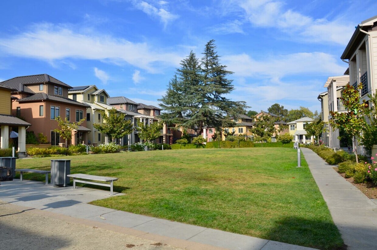 447 Alder Ln, Palo Alto, CA 94306 House for Rent in Palo Alto, CA