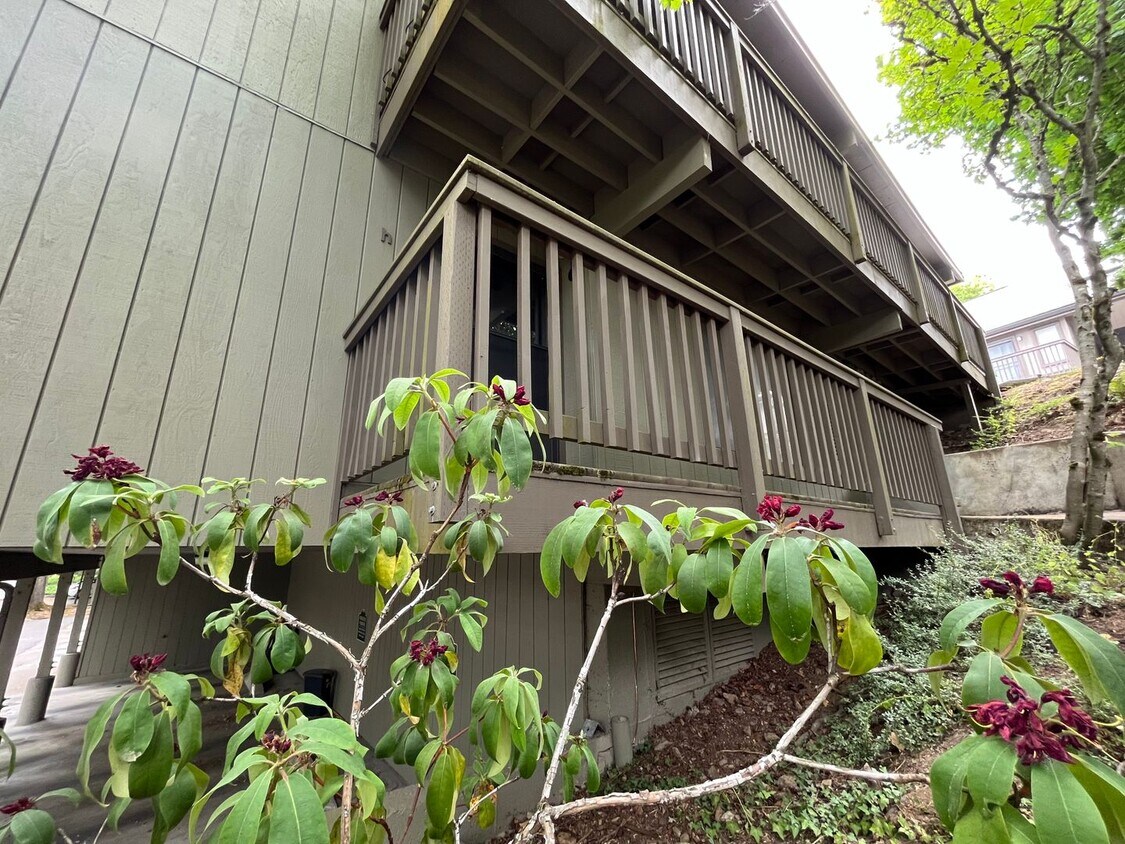 Foto principal - Charming 1Bd + 1Ba Condo in West Haven-Syl...