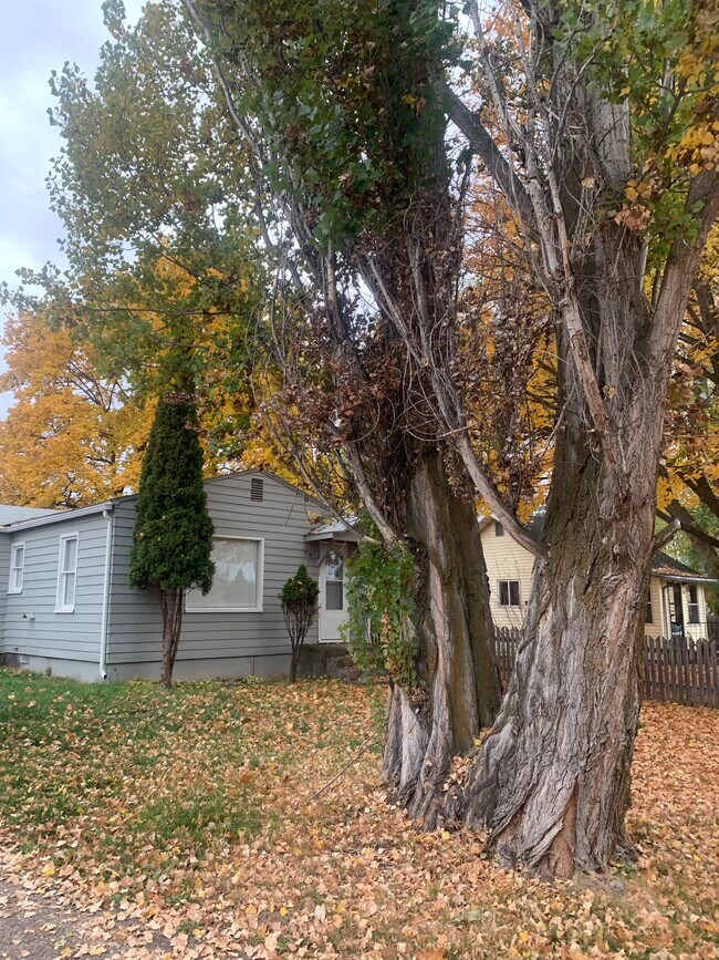 Front of house, 3 - 710 11th Ave E