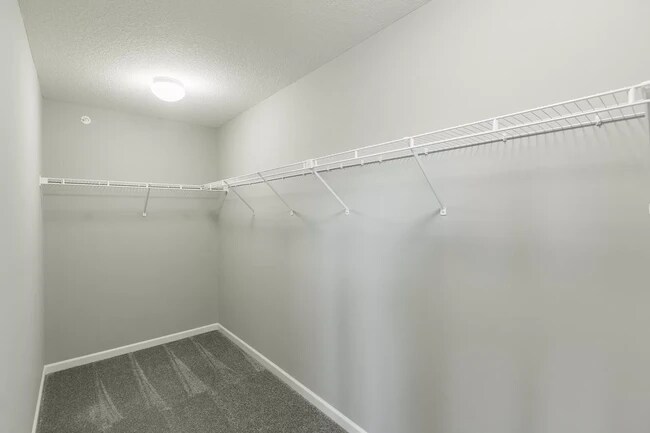 Building Photo - 4376 Corn Silk Ln