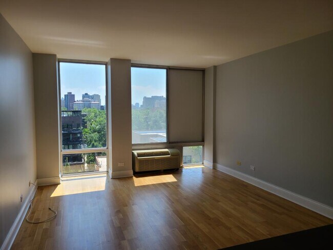 1 bedroom in Chicago IL 60657 - 1 bedroom in Chicago IL 60657 Apartment