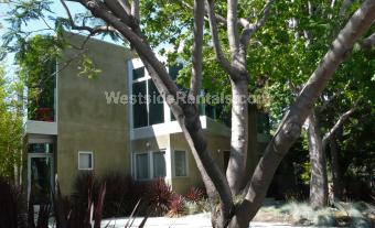 Primary Photo - 603 Angelus Pl
