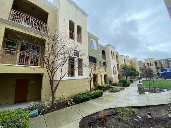 3 Bed 2 Bath Condo W/ Garage In San Ramon - 3 Bed 2 Bath Condo W/ Garage In San Ramon
