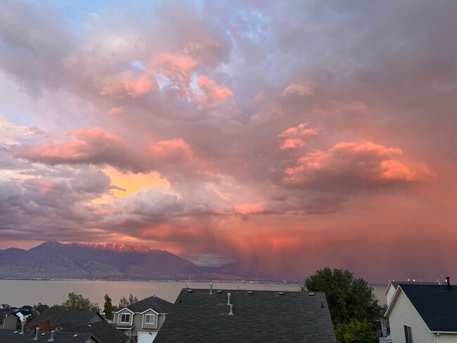 Foto del edificio - 3558 Sharp Shinned Trail