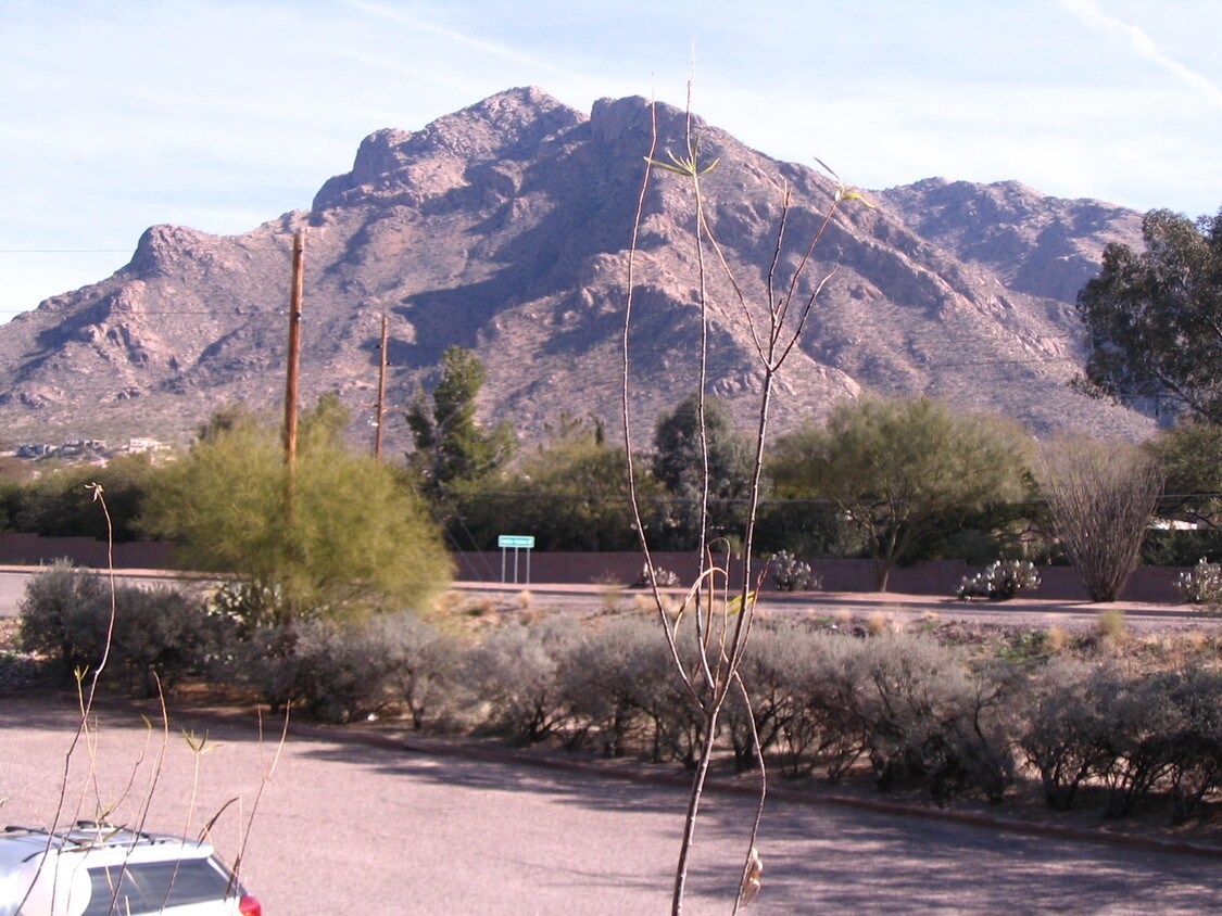 From Balcony - 8255 N Oracle Rd