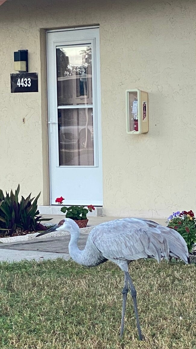 Foto del edificio - 4433 Narraganset Trail