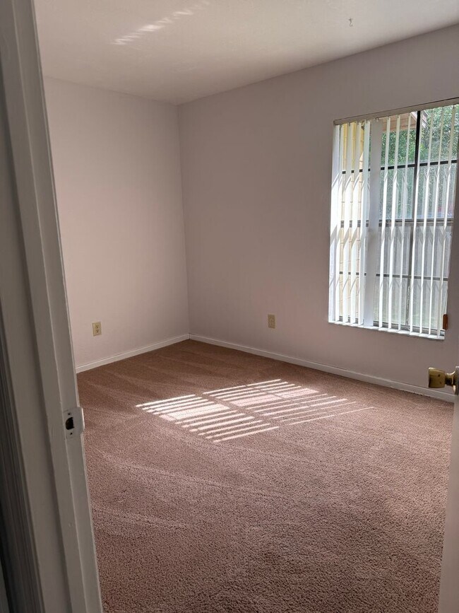 Foto del edificio - 2 Bd/1 Ba near UF- 857 sq/ft Apartment for...