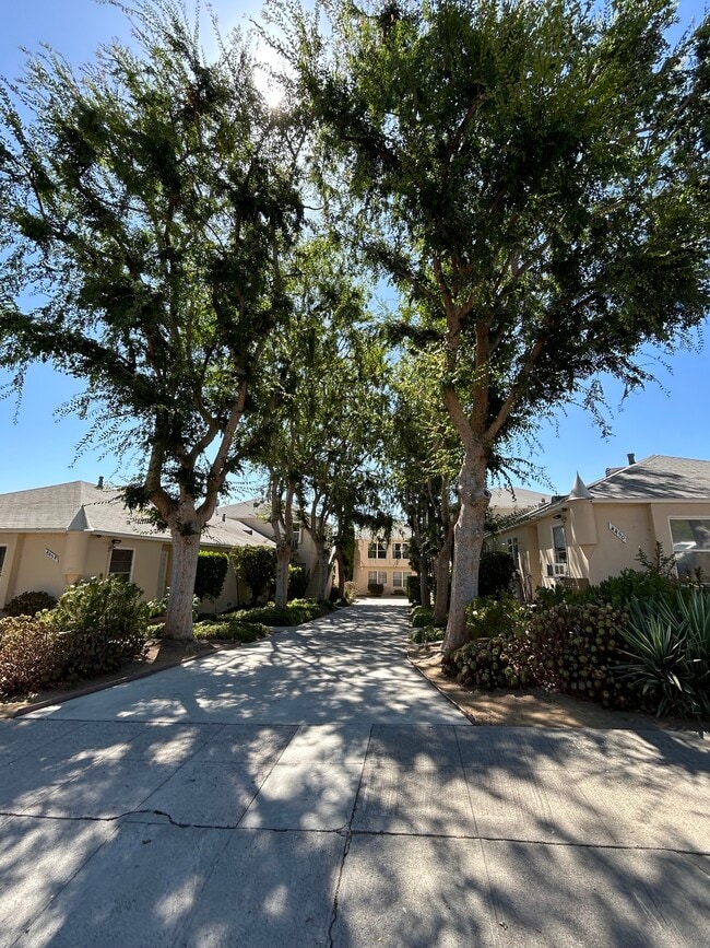 Building Photo - 4872 Argus Dr