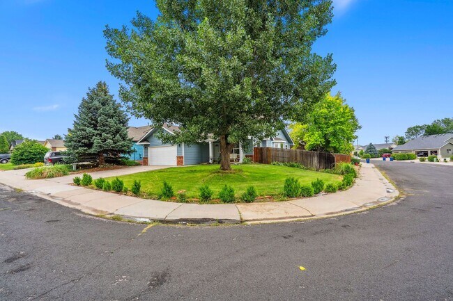 Building Photo - Stylish living in this modern 3 bed 2 bath...