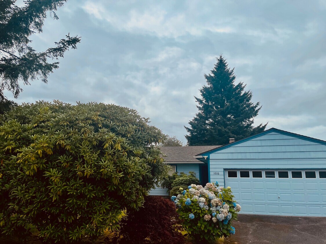 Primary Photo - 1016 Lindstrom St