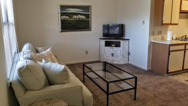 1 Bedroom Living Room - Wesley South at East Carolina