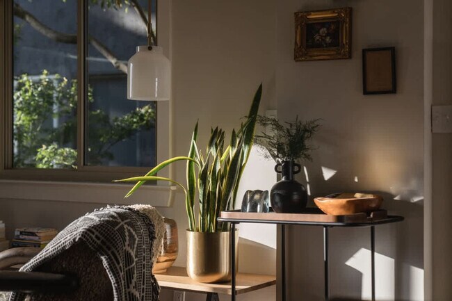 Foto del edificio - 10 Truitt Ln