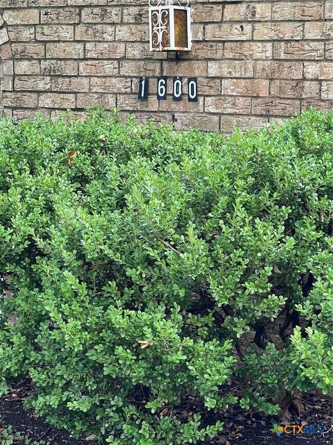 Foto del edificio - 1600 Halbert St